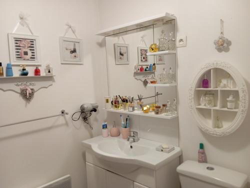 a bathroom with a sink and a toilet and a mirror at La Gerbaudiere Chambres&Table d hotes proche Mont Saint Michel CUISINE MAISON in Notre-Dame-du-Touchet