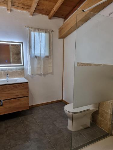 une salle de bain avec toilettes, lavabo et douche dans l'établissement Charmante maison à la campagne, à Grane