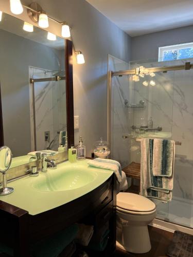 a bathroom with a sink and a toilet and a mirror at cozy retreat in upscale Green Hills in west Nashville in Nashville