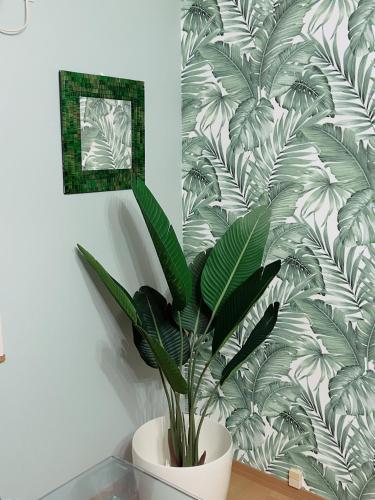 a plant in a white pot in a room with a wall at Airportside Chillhouse in Toyonaka