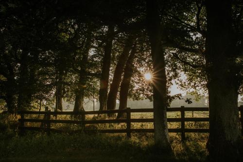 a fence in a field with the sun shining through trees at Killiane Castle Country House & Farm in Wexford