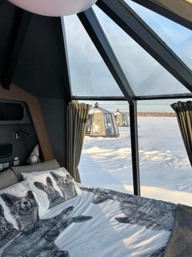 罗瓦涅米Vikajärvi Lake View Experience Igloos的飞机驾驶舱里的一张床