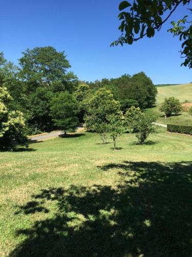 a field of green grass with trees in the background at Auberge de la Normandie in Junhac