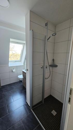 a bathroom with a shower with a glass door at Ferienwohnung An der Seidewitz in Pirna