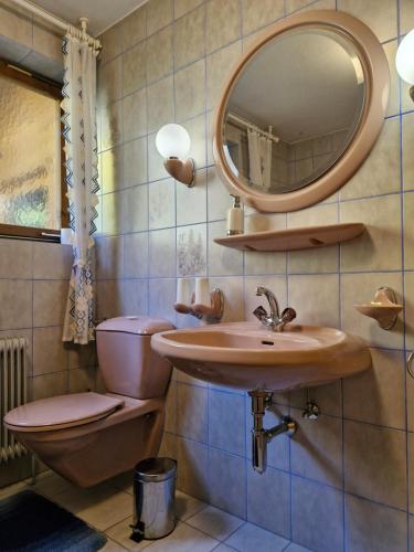 a bathroom with a toilet and a sink and a mirror at Ferienhaus Bergblick in Sellrain