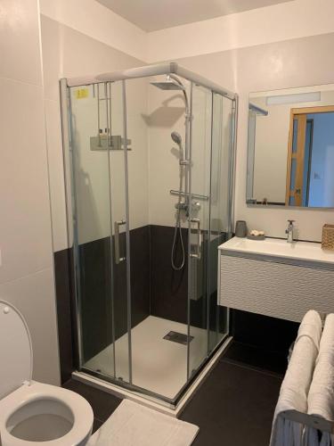 une salle de bain avec une douche, des toilettes et un lavabo dans l'établissement Chambre Lavighiu, à Patrimonio