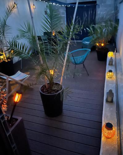 une terrasse couverte avec une plante en pot et des lumières sur celle-ci dans l'établissement Atelier des Galipes, à Dizy