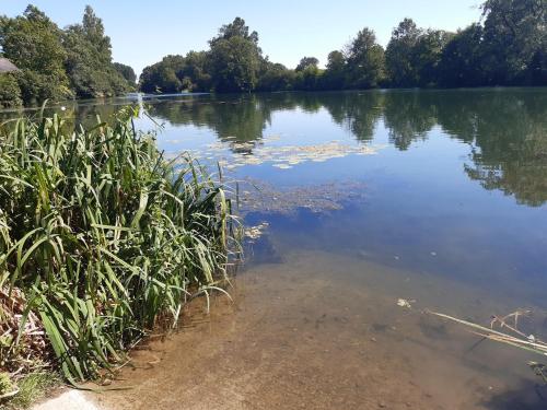 Příroda nedaleko apartmánu