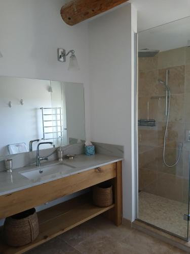 une salle de bain avec un lavabo et une douche dans l'établissement Jas des gros bonnets, à Redortiers