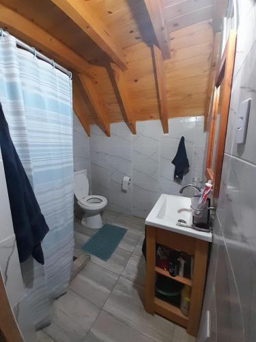 a bathroom with a toilet and a sink at Cabañas EL ÁNGEL DE JOSÉ in Eva Perón