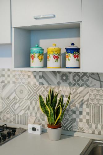 a kitchen counter with three pots and a potted plant at Ciraccio Apartments in Procida