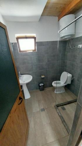 a bathroom with a toilet and a sink at Te Agostini in Theth