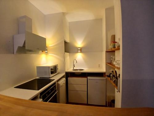 une petite cuisine avec un évier et un micro-ondes dans l'établissement Au Canal, à Toulouse