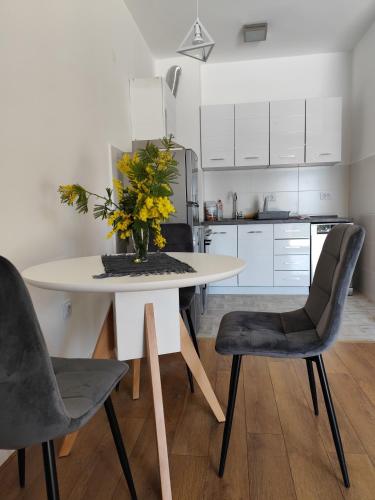Η κουζίνα ή μικρή κουζίνα στο Apartman Sunce Bijela