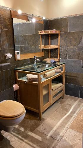 a bathroom with a sink and a toilet at Les 3 flocons in La Colmiane