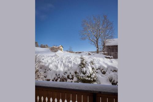 a yard covered in snow with a tree in the background at Landhotel Spreitzhofer in Sankt Kathrein am Offenegg