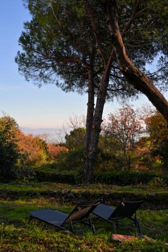 two chairs sitting in the grass under a tree at Le Rocce Wellness and Fitness, only adults in Lerici