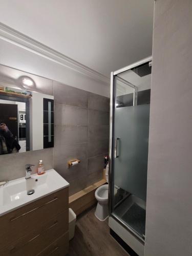 ein Badezimmer mit Dusche, Waschbecken und Toilette in der Unterkunft Studio avec balcon sud LES PISTEURS in Le Dévoluy