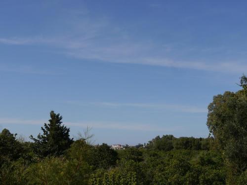 Příroda nedaleko apartmánu