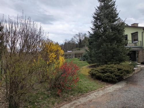 a house with a tree on the side of the road at Ferienhaus Am Freibad in Bad Berka