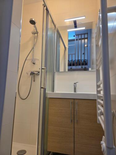 une salle de bain avec douche et lavabo dans l'établissement Centre ville , 5 chambres, 4sdb, à Angers