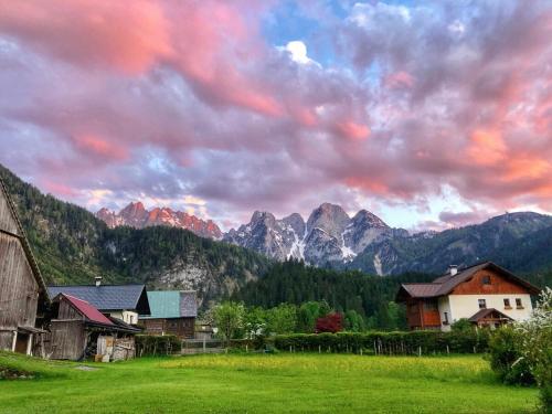 a group of buildings in a field with mountains at Gosau Apartment 202 in Gosau