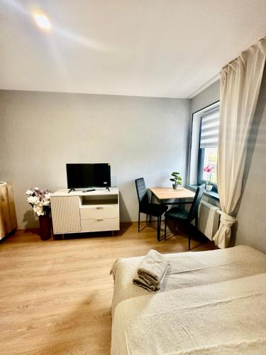 TV a/nebo společenská místnost v ubytování Apartamenty Poziom 4, Prywatna łazienka, Wspólna toaleta, Free wi-fi, Free Parking