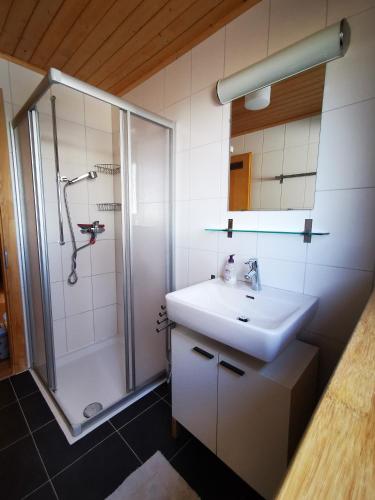 a bathroom with a sink and a shower at Chalet St-Hubert in Les Collons