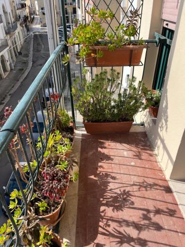 a balcony with potted plants on the side of a building at Isola nel cielo Terrazza Salento in Tricase