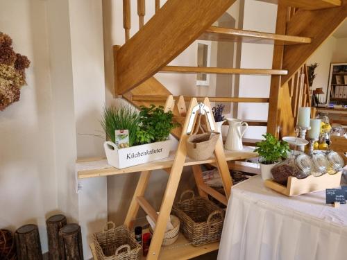 a room with a table with plants on a shelf at Huber Vendégszobák in Fertőrákos