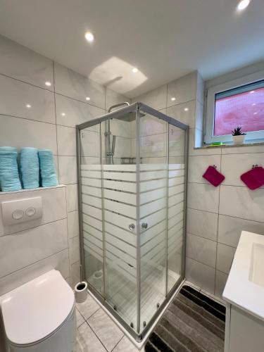a bathroom with a shower with a toilet and a sink at Holiday Apartment in Mörfelden-Walldorf in Mörfelden-Walldorf
