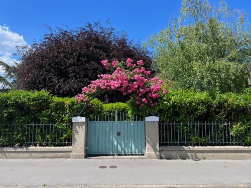 a gate with a bunch of pink flowers on it at Domus Purpurea in Yverdon-les-Bains