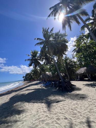 a beach with palm trees and chairs and the ocean at Playa Paraiso en Magante in La Yagua