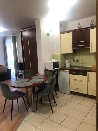 A kitchen or kitchenette at Apartament studio