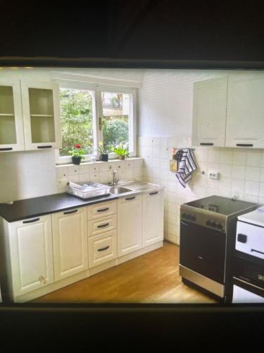 Η κουζίνα ή μικρή κουζίνα στο Low budget Apartment in Rijeka