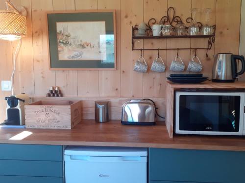 une cuisine avec un comptoir avec un micro-ondes dans l'établissement Maison Hamak, à Urrugne