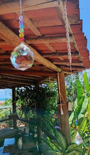 Κήπος έξω από το Hostel Brisa Mar