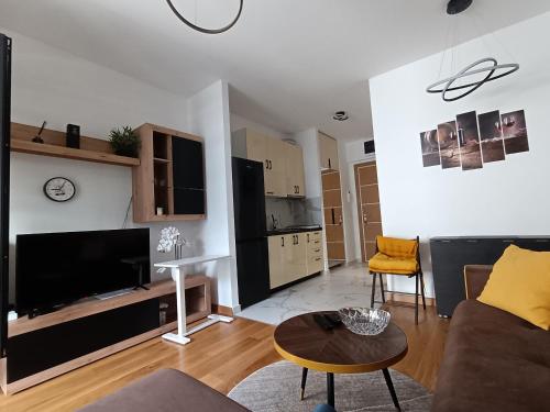 TV a/nebo společenská místnost v ubytování Viva apartment in condominium