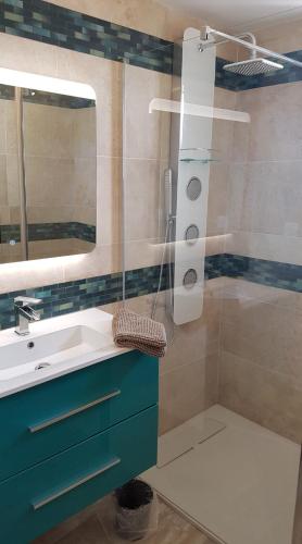 une salle de bain avec un lavabo et une douche dans l'établissement la baumo, à Sainte-Croix-de-Verdon