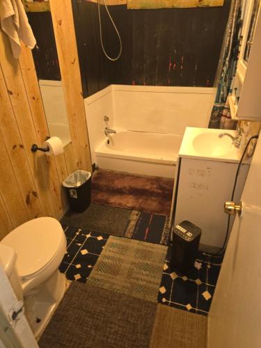 a bathroom with a toilet and a bath tub at Grateful Hemphill C in Atlanta