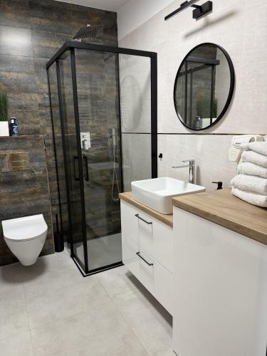 a bathroom with a shower and a toilet and a sink at Ogrodowa70 Apartment in Sztutowo