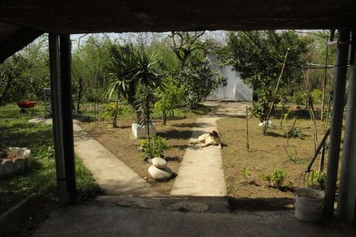 Jardín al aire libre en Guest house Tecoma