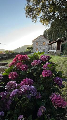 a bunch of purple flowers in front of a house at Casa da Mena - Casa de Campo no Caramulo in Vouzela