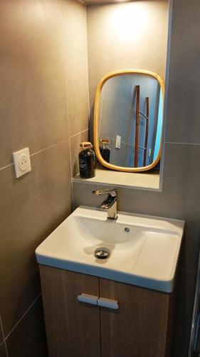 une salle de bain avec un lavabo et un miroir dans l'établissement Grand studio neuf au calme, à Reims
