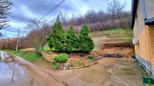 a tree in a flower bed next to a street at "Luxury country house" Niš-Niška Banja in Niš