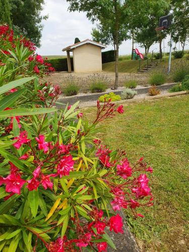 a bush with pink flowers in a yard at Gite de la Bordeneuve in Preignan