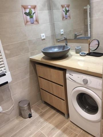 une salle de bain avec un lavabo et une machine à laver dans l'établissement Charmante maison, à Lagraulet-Saint-Nicolas