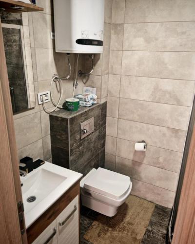 Koupelna v ubytování Apartman Perun