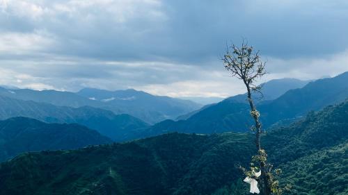 ホテルの近くで見られる自然の景観