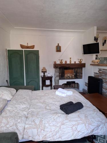 - une chambre avec un grand lit et une cheminée dans l'établissement Meublé de tourisme 2 etoiles au cœur de Belvédère, à Belvédère